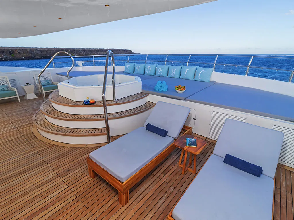 Deck of Endemic, a Gulet Power Catamaran catamaran at Baltra, Ecuador