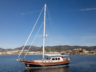 Carpe Diem Coral