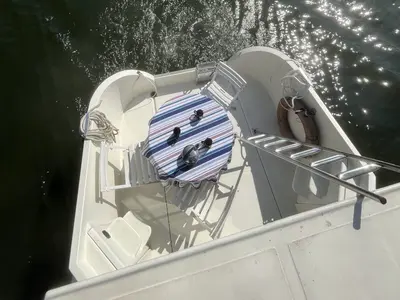 Deck of Pop, a Nicols Sedan 800 motorboat at Sablé-sur-Sarthe, France