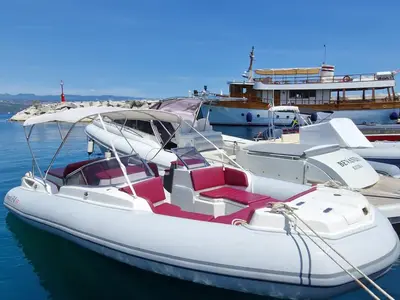 Marlin 24