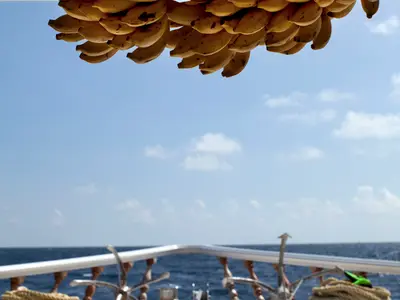 CAB7, a Motoryacht motor yacht at Malé, Maldives