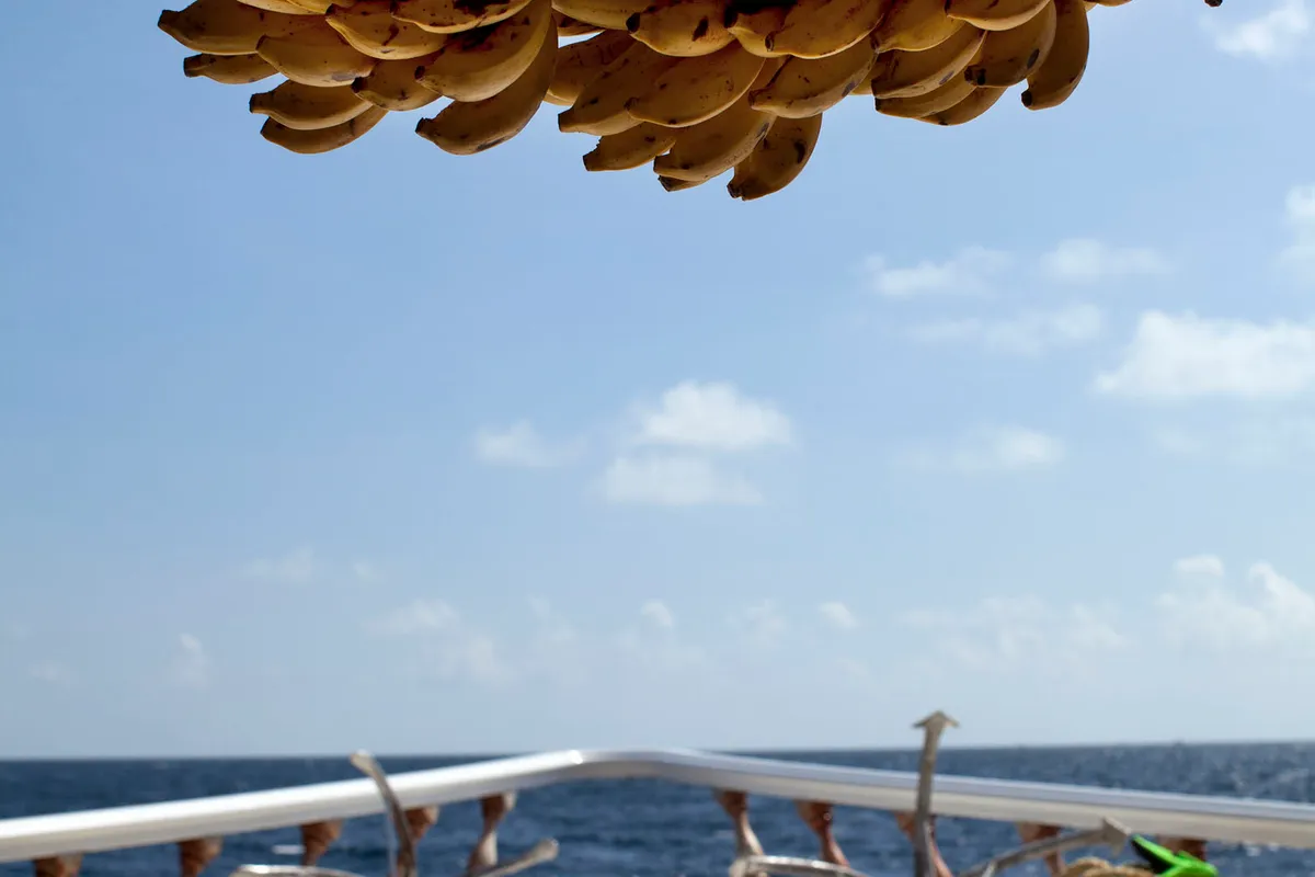 CAB7, a Motoryacht motor yacht at Malé, Maldives