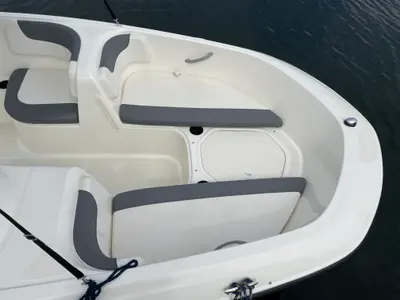 Bayliner E16, a Bayliner E16 motorboat at Göhren-Lebbin, Germany