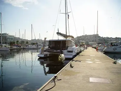 Anasa