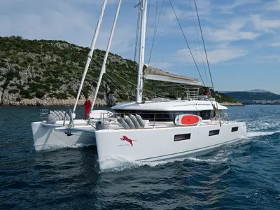 Adriatic Tiger