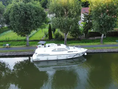 Haines 38