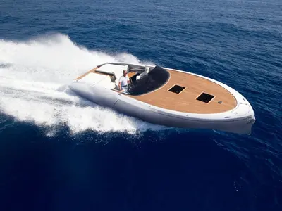 Adriatic Falcon