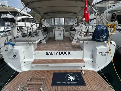 SALTY DUCK