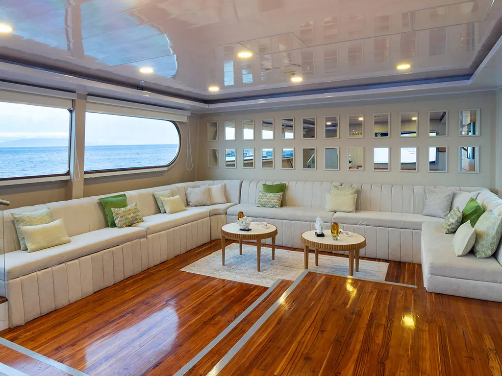 Salon of Petrel, a Gulet Power Catamaran catamaran at Baltra, Ecuador
