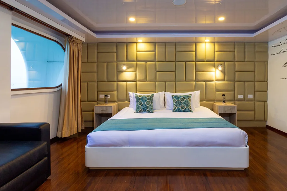 Cabin on Petrel, a Gulet Power Catamaran catamaran at Baltra, Ecuador