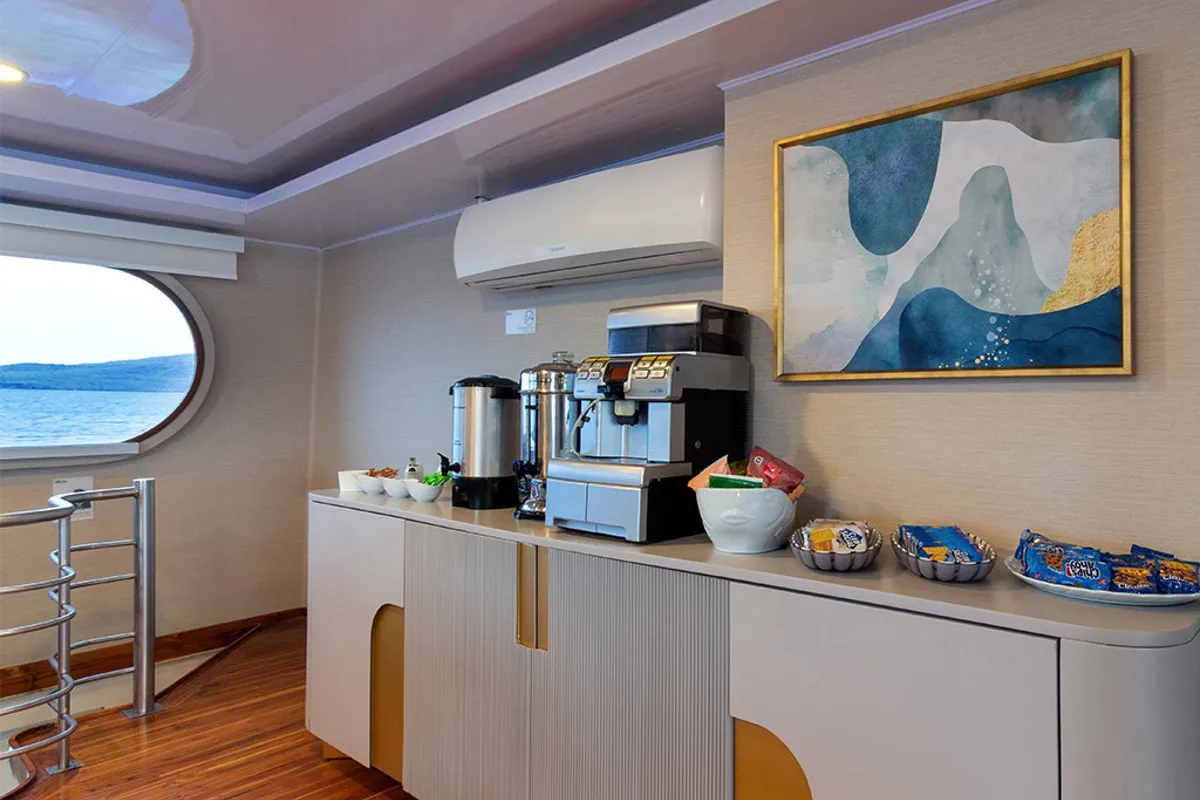 Salon of Petrel, a Gulet Power Catamaran catamaran at Baltra, Ecuador