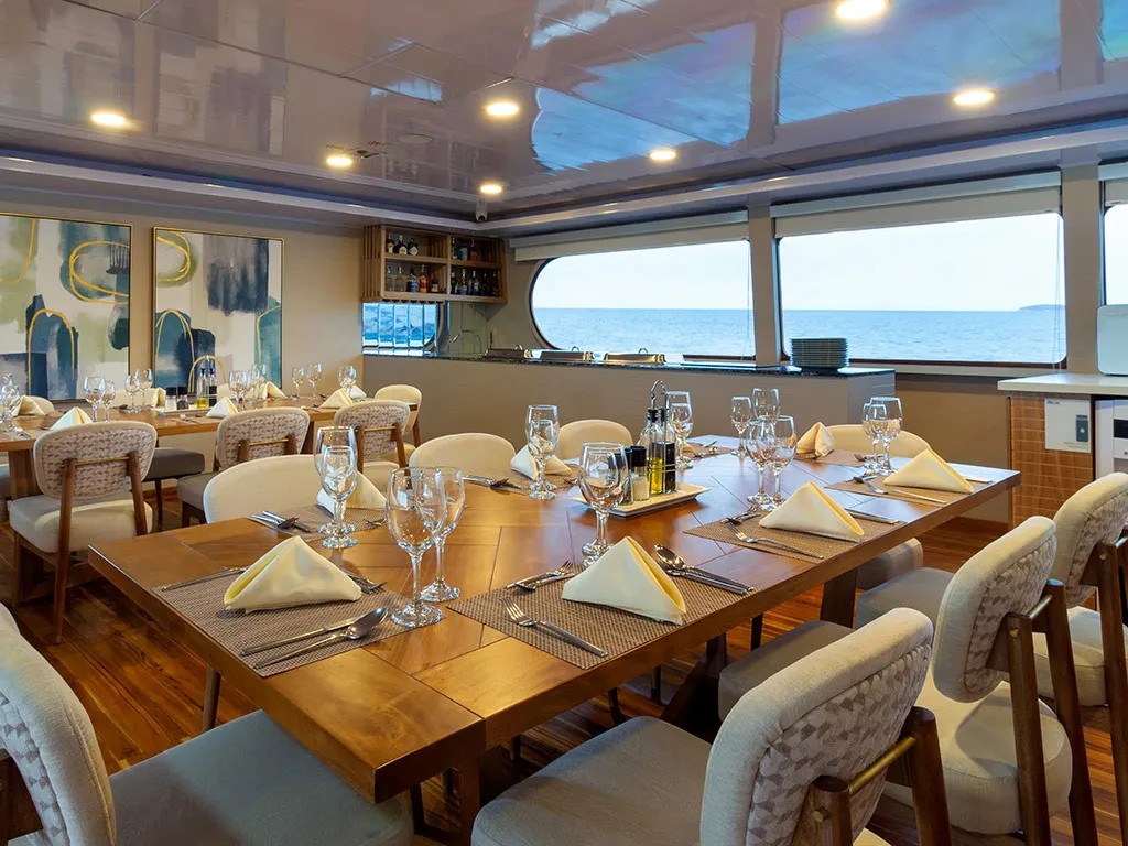 Salon of Petrel, a Gulet Power Catamaran catamaran at Baltra, Ecuador