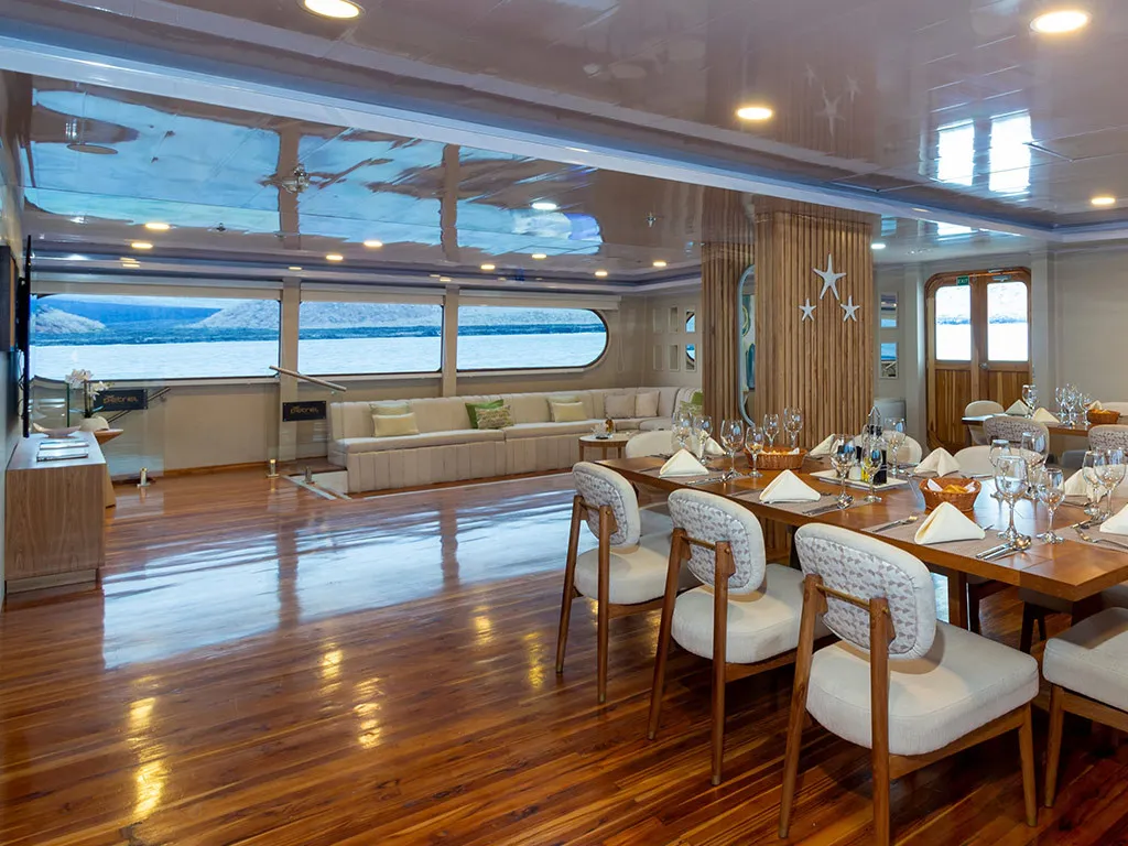 Salon of Petrel, a Gulet Power Catamaran catamaran at Baltra, Ecuador