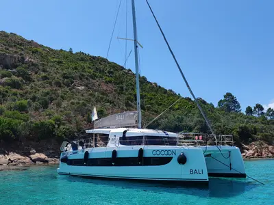 Cocoon
