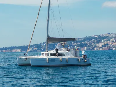 Marlin