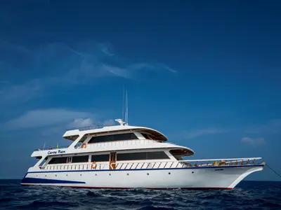 Conte Max, a Motoryacht motor yacht at Malé, Maldives