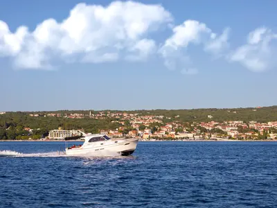 Gaja