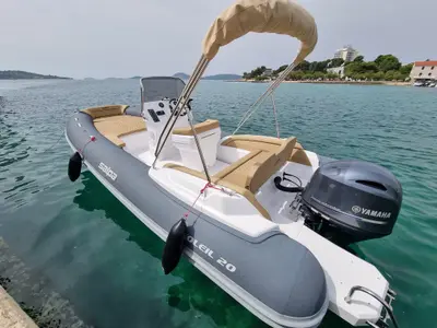 Salpa