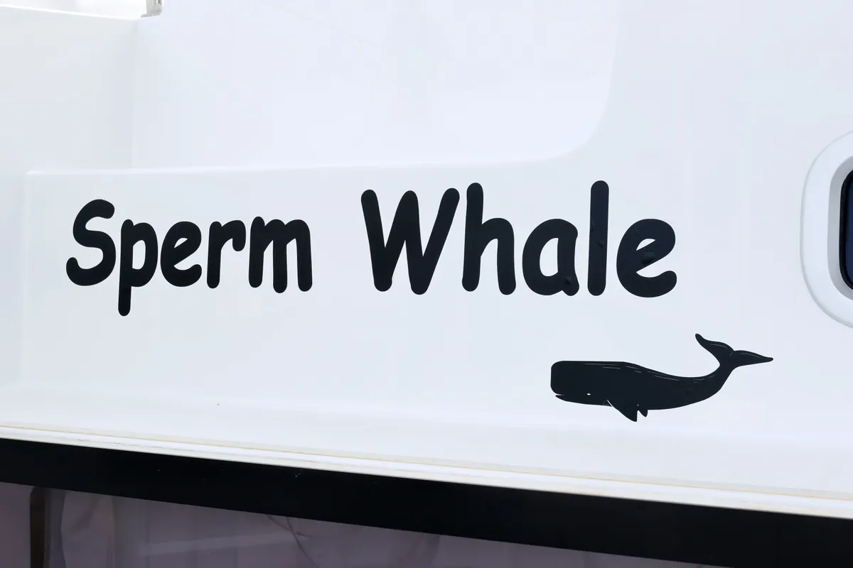 Sperm Whale, a Lagoon 42 catamaran at Sukošan, Croatia