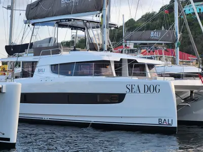 Sea Dog