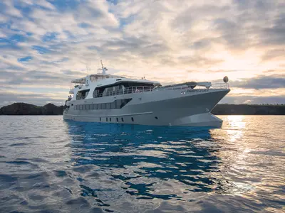 Galapagos Tribute - Premium Suite