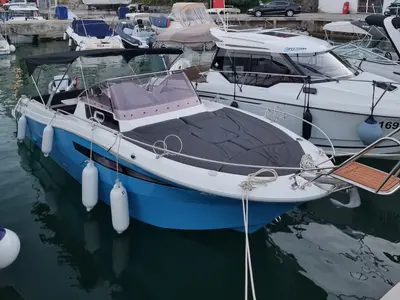 Lady Blue