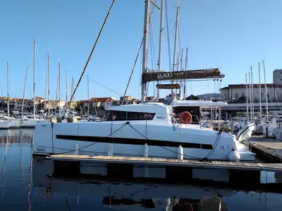 Testa