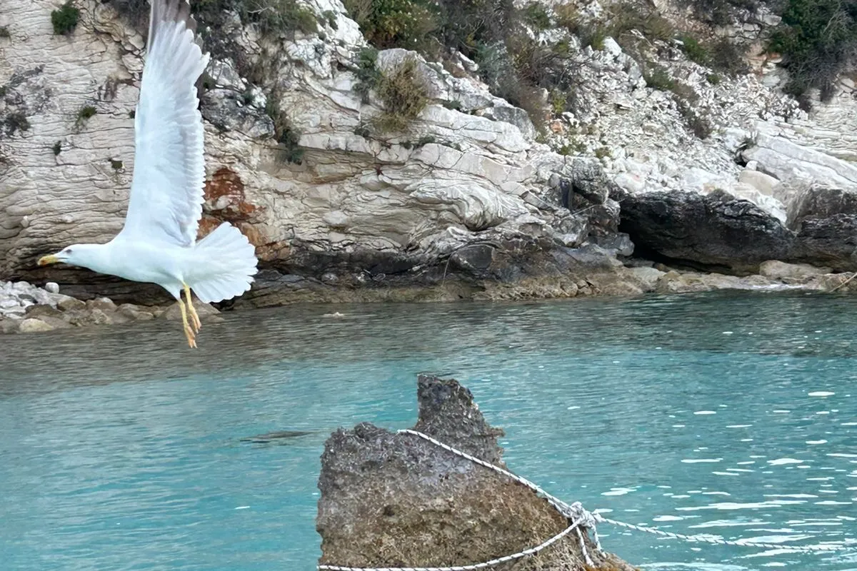 Nausicaa, a Bali 4.4 catamaran at Municipal Unit of Lefkada, Greece