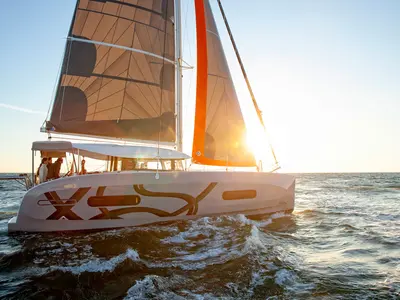 Albatross