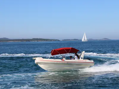 Barracuda 590 - 12