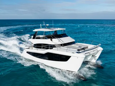 Sea Stars VI