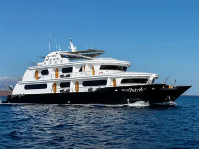 Petrel - Cabin 4, a Gulet Power Catamaran catamaran at Baltra, Ecuador