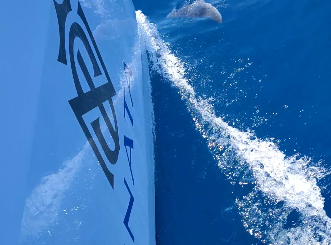 Sinata, a Sunreef 60 catamaran at Rogoznica, Croatia