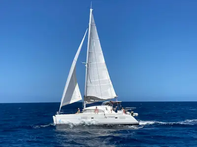 Classic, a catamaran at Alameda, United States