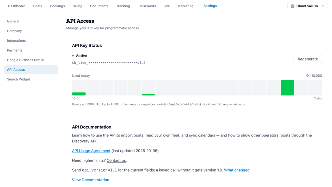 API Access settings: API Key Status Active with a masked key, Regenerate, Used today and the daily usage bars.