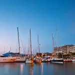 Arachovitika marina