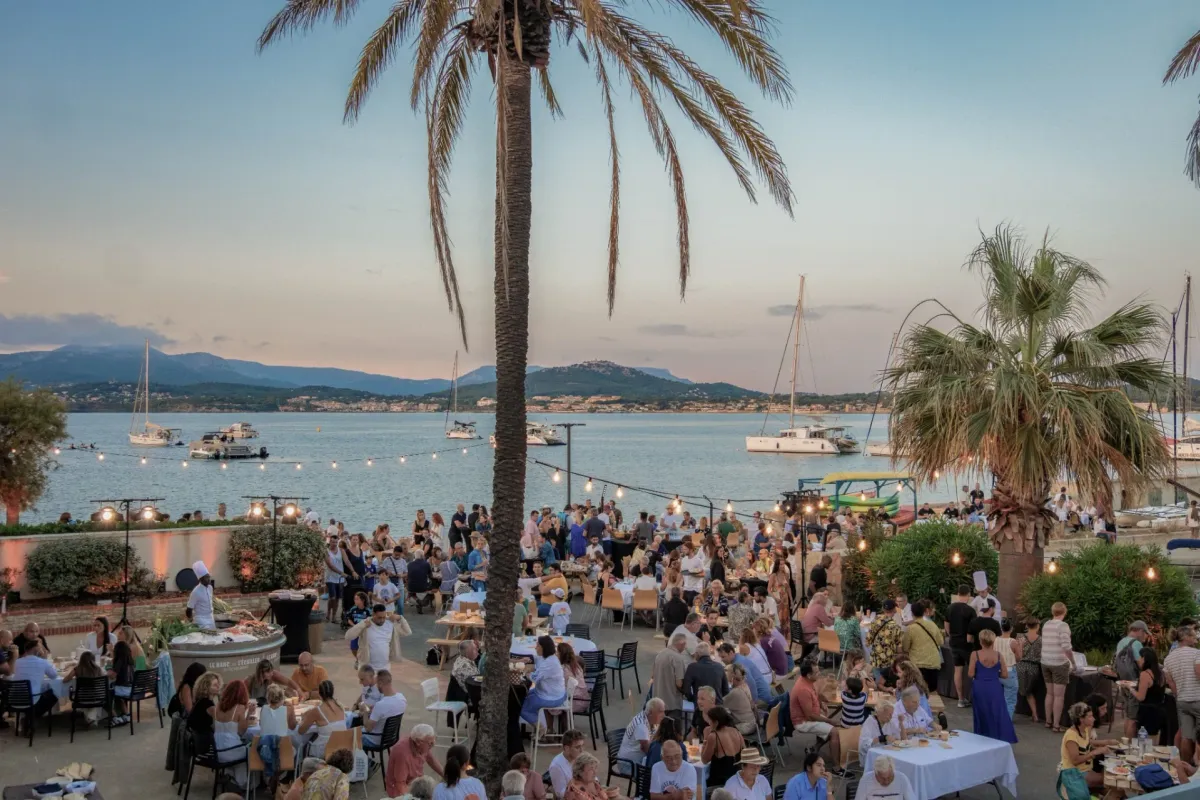 Port Saint-Pierre des Embiez, marina in Six-Fours-les-Plages, France — photo 9