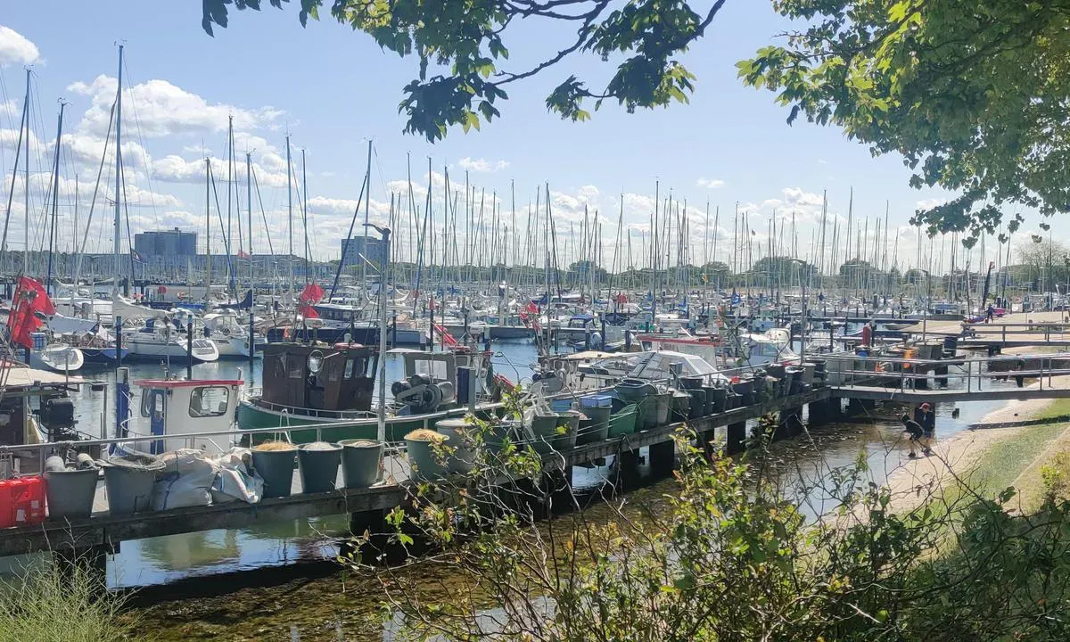 Hafen Strande, marina in Strande, Germany — photo 4
