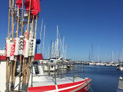 Vedbæk Havn, marina in Vedbæk, Denmark — photo 5