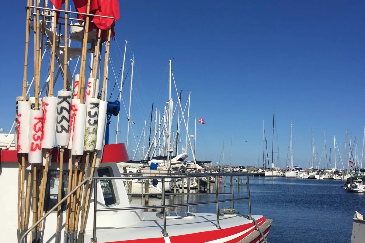 Vedbæk Havn, marina in Vedbæk, Denmark — photo 5