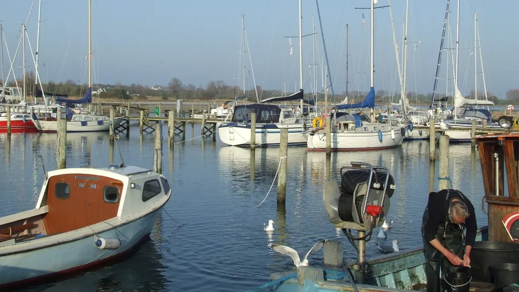 Lyø Havn, marina in Bådsted, Denmark — photo 7
