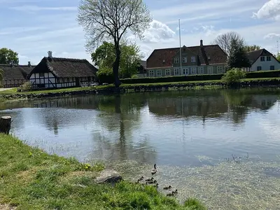 Lyø Havn, marina in Bådsted, Denmark — photo 5