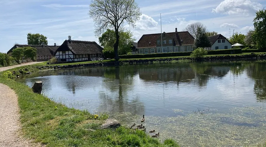Lyø Havn, marina in Bådsted, Denmark — photo 5