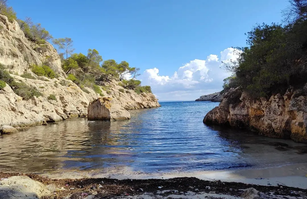 Portals Vells Marina in Sol de Mallorca, Spain — photo 6