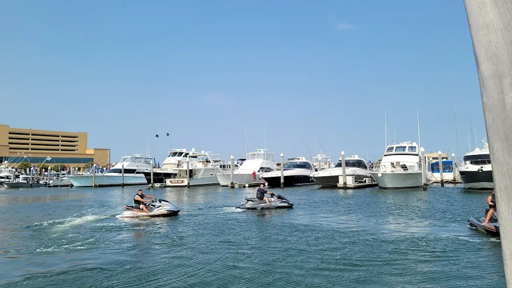 Frank S. Farley State Marina in Atlantic City, United States — photo 4