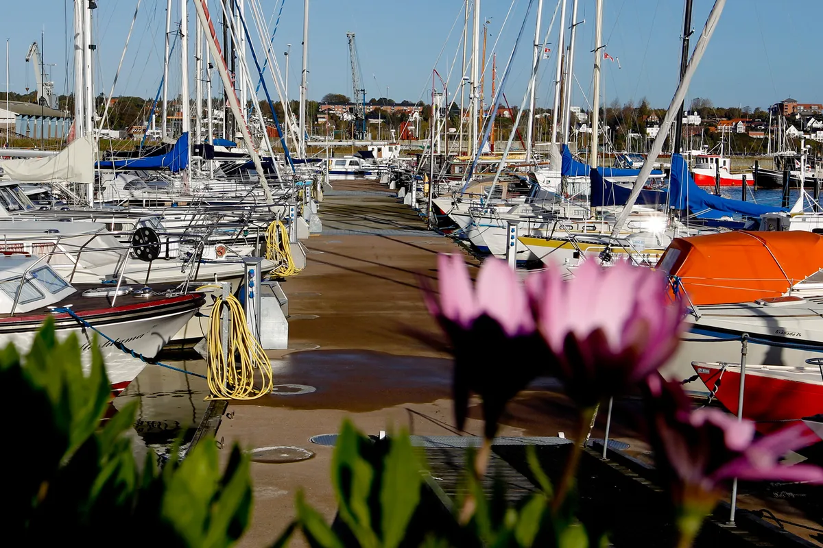 Haven de Kolk, marina in Blokzijl, Netherlands — photo 7