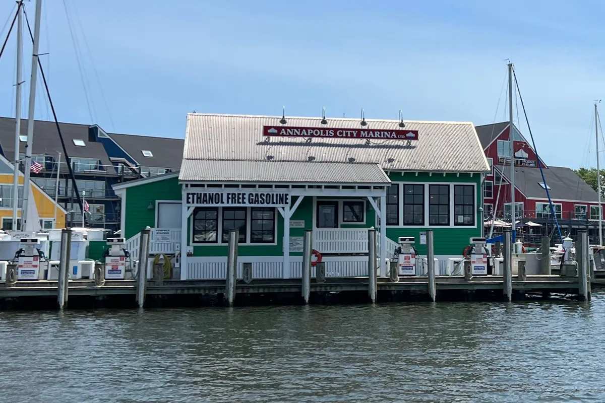 Annapolis City Marina in Annapolis, United States — photo 2