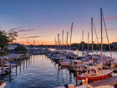 Yacht Haven of Annapolis, marina in Annapolis, United States — photo 4
