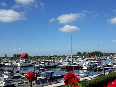 Jachthaven Biesbosch, marina in Drimmelen, Netherlands — photo 4