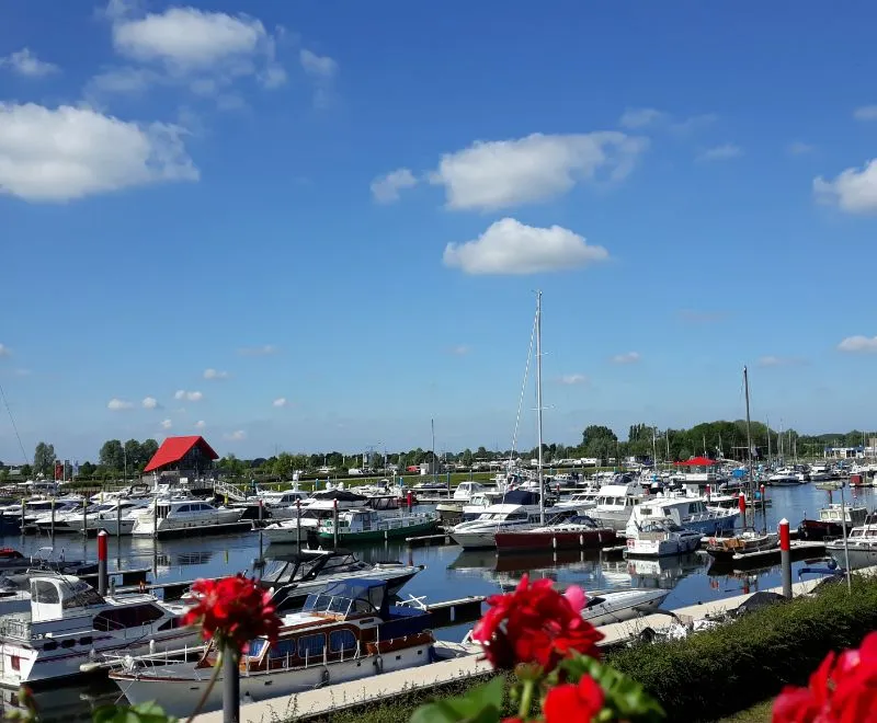 Jachthaven Biesbosch, marina in Drimmelen, Netherlands — photo 4